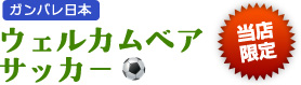 ガンバレ日本 ウェルカムベアサッカー